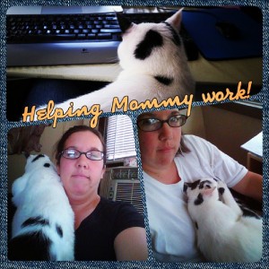 Helping me work