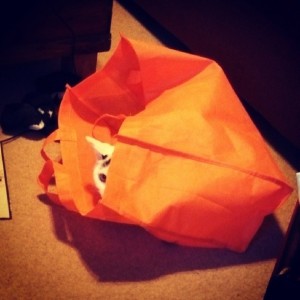 Meena hiding