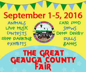 2016-GeaugaFair_300x250