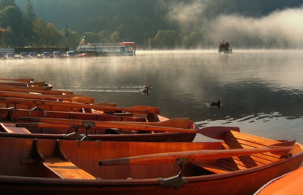 boats