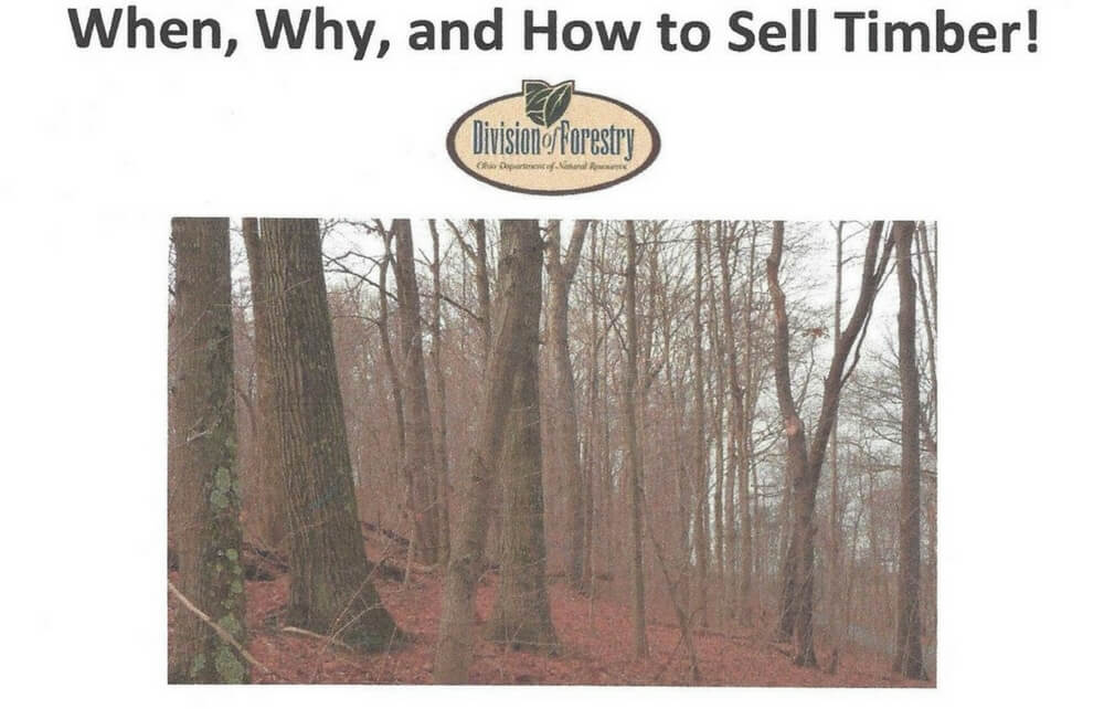 When, Why, and How to Sell Timber! Geauga News