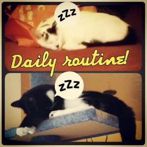 sleeping